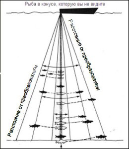 fish-view1