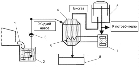 bio21