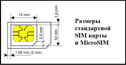 microsim1