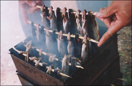 Бизнес на горячем копчение рыбы