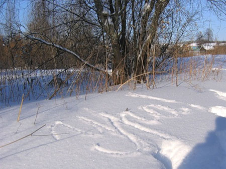 Поздравления на снегу