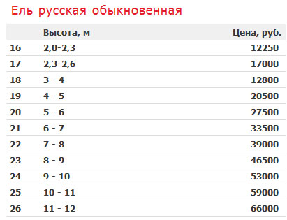 Розничные цены на новогодние елки